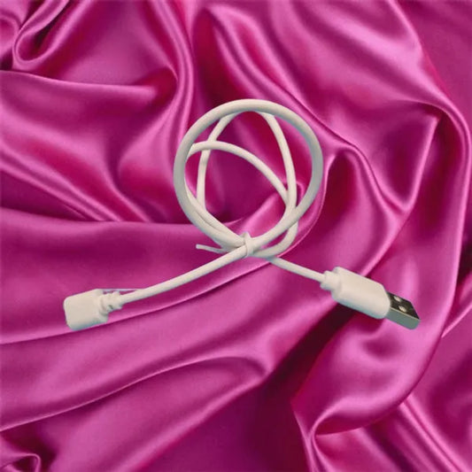 Rose Dildo Replacement Charger